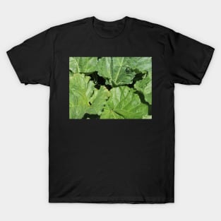 Rhubarb Leaves T-Shirt